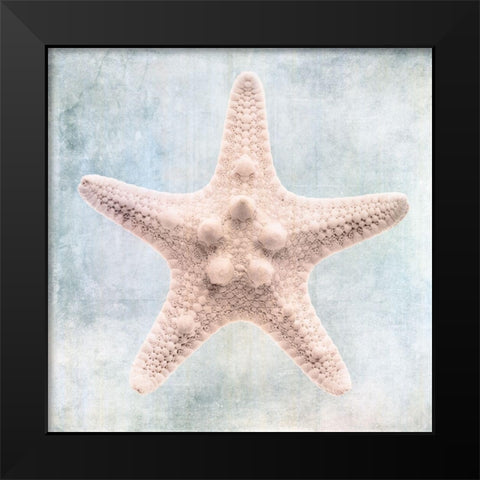 Blue Cream Starfish  Black Modern Wood Framed Art Print by Zalewski, Christine