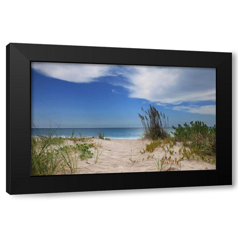 Dune Trail Black Modern Wood Framed Art Print by Anderson, Brent