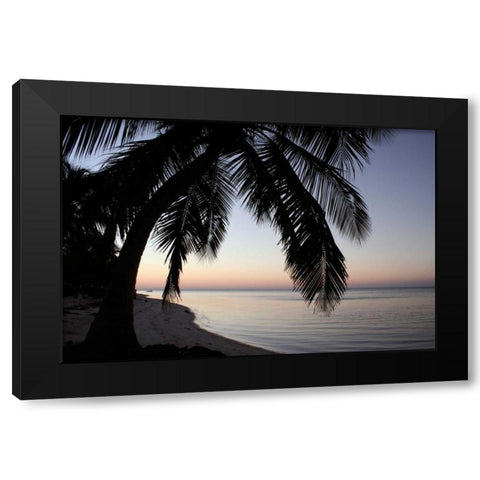 Palm Tree Sunset Black Modern Wood Framed Art Print with Double Matting by Anderson, Brent