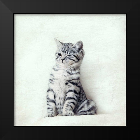 Cat Winks Black Modern Wood Framed Art Print by Attura, Nadia