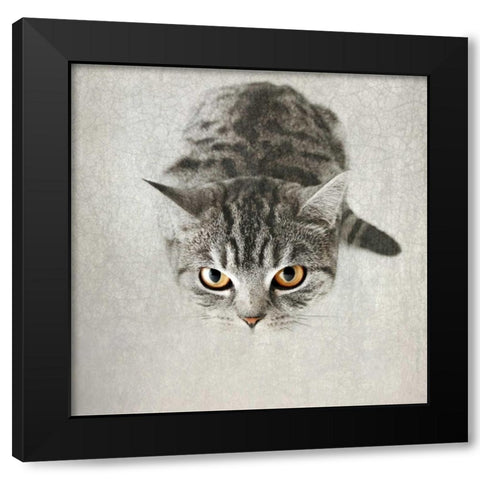 Hello Kitty Black Modern Wood Framed Art Print by Attura, Nadia