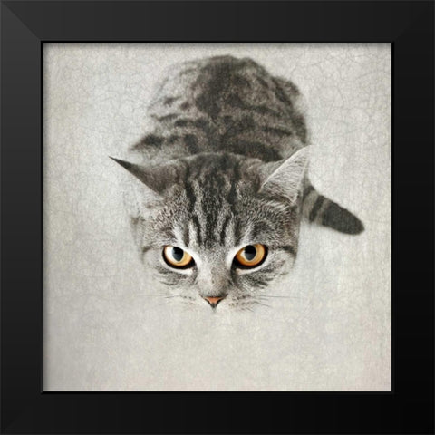 Hello Kitty Black Modern Wood Framed Art Print by Attura, Nadia