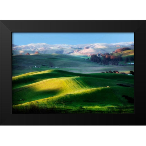 Day in August Black Modern Wood Framed Art Print by Aron, Lucy
