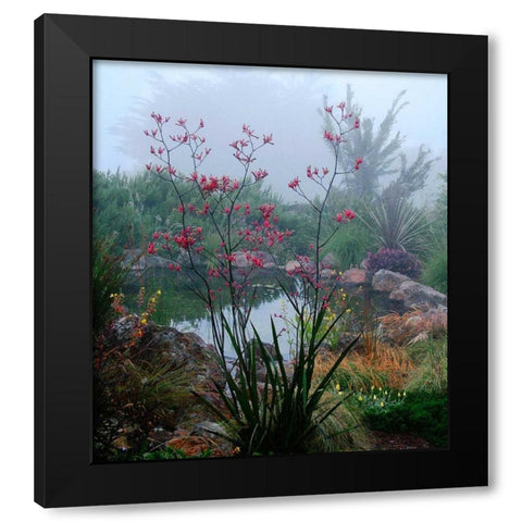 Scarlet Black Modern Wood Framed Art Print by Aron, Lucy
