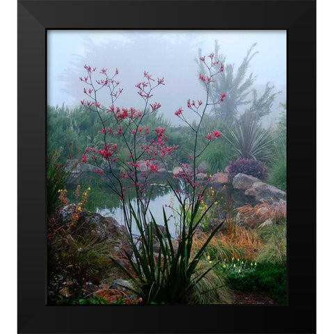 Scarlet Black Modern Wood Framed Art Print by Aron, Lucy