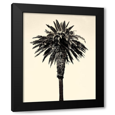 Palm Tree 1996 (Tan) Black Modern Wood Framed Art Print by Asla, Erik