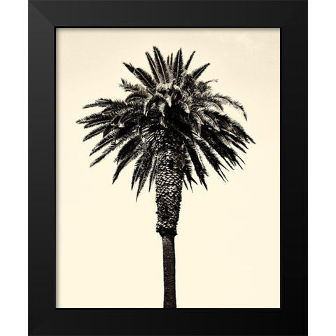 Palm Tree 1996 (Tan) Black Modern Wood Framed Art Print by Asla, Erik