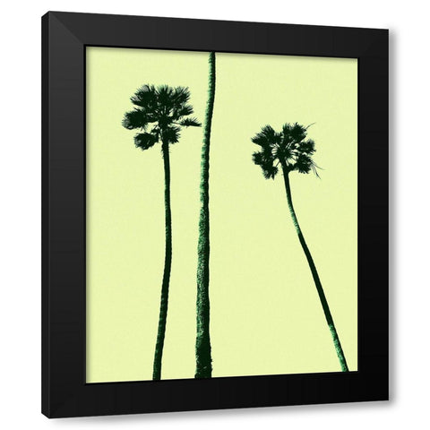Palm Trees 2000 (Cyan) Black Modern Wood Framed Art Print by Asla, Erik