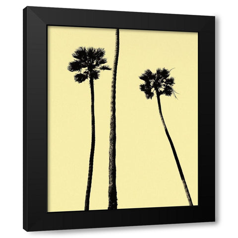 Palm Trees 2000 (Yellow) Black Modern Wood Framed Art Print with Double Matting by Asla, Erik
