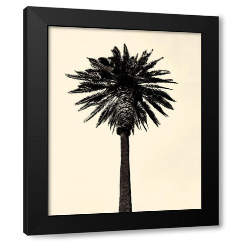 Palm Tree 1979 Tan Black Modern Wood Framed Art Print by Asla, Erik