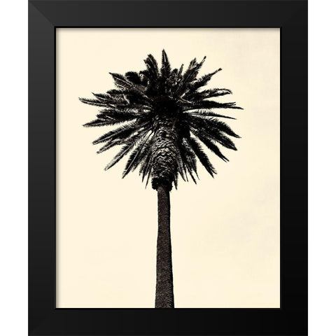 Palm Tree 1979 Tan Black Modern Wood Framed Art Print by Asla, Erik