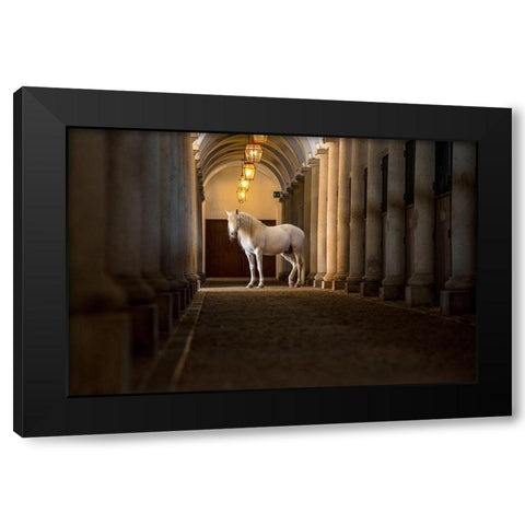 In The Barn Black Modern Wood Framed Art Print with Double Matting by Asimow, Merrie