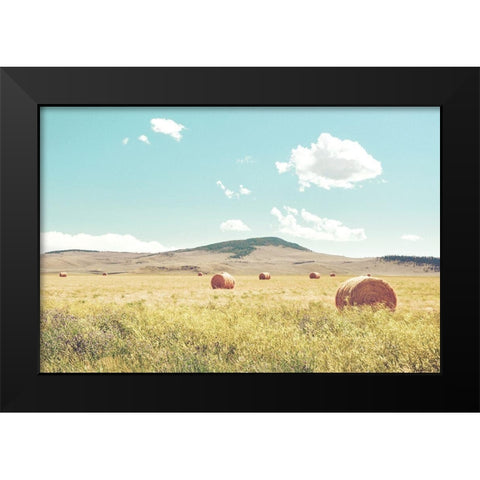 A Day in the Fields Black Modern Wood Framed Art Print by Annie Bailey Art