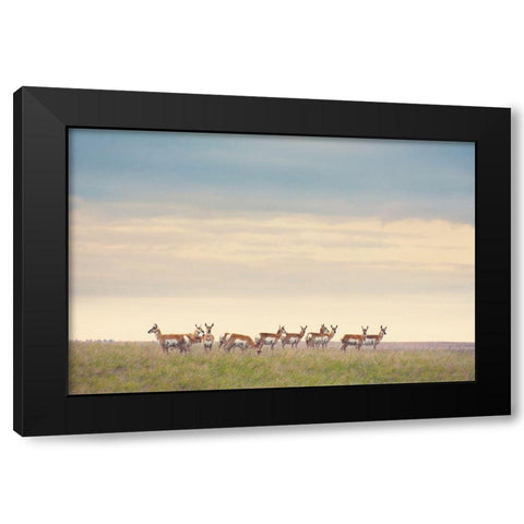 Strength in Numbers Black Modern Wood Framed Art Print by Annie Bailey Art