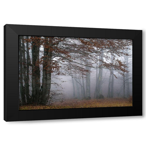 Autumn Paintings Black Modern Wood Framed Art Print with Double Matting by Artemiadi, Dora