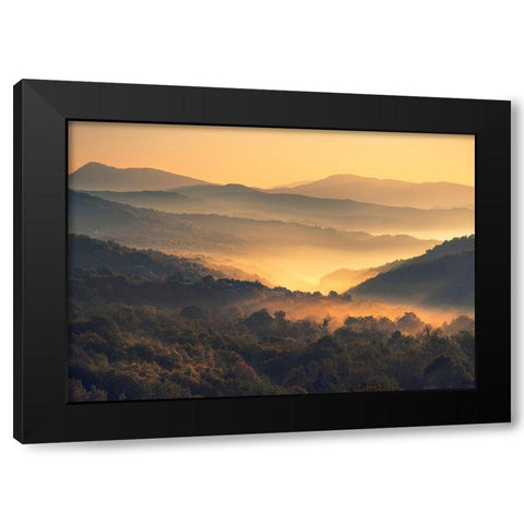 Awakening Black Modern Wood Framed Art Print by Artemiadi, Dora