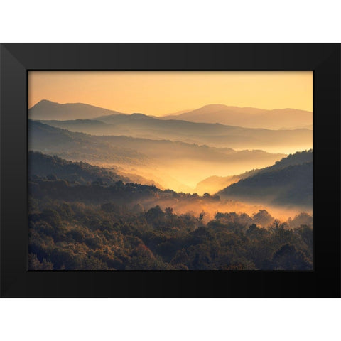 Awakening Black Modern Wood Framed Art Print by Artemiadi, Dora