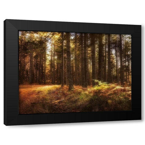 Painting of a Forest Black Modern Wood Framed Art Print by Artemiadi, Dora