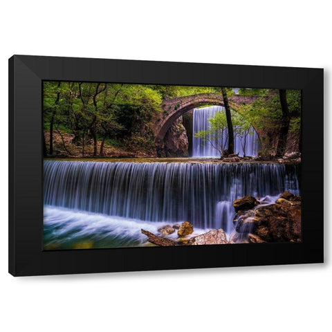 Spring Feast Black Modern Wood Framed Art Print with Double Matting by Artemiadi, Dora
