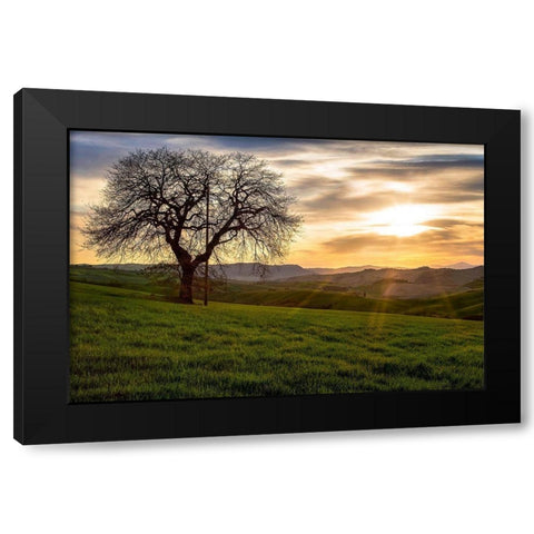 The Tree Black Modern Wood Framed Art Print by Artemiadi, Dora