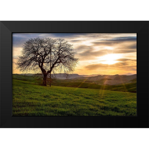 The Tree Black Modern Wood Framed Art Print by Artemiadi, Dora