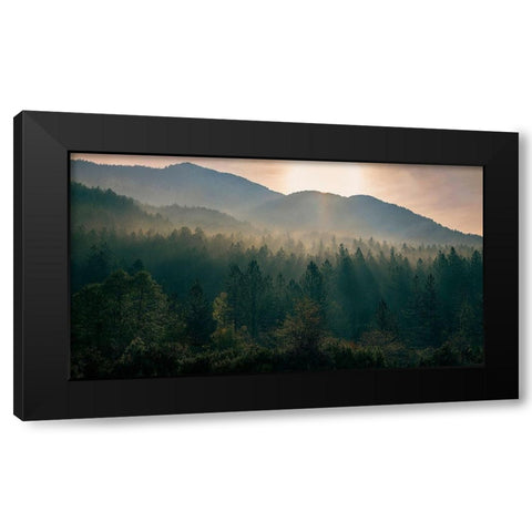 Awakenings Black Modern Wood Framed Art Print by Artemiadi, Dora