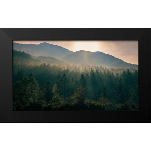 Awakenings Black Modern Wood Framed Art Print by Artemiadi, Dora