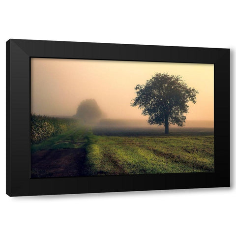 Morning Mist Black Modern Wood Framed Art Print with Double Matting by Artemiadi, Dora