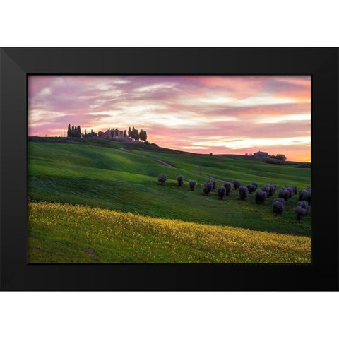 Tuscany Palette Black Modern Wood Framed Art Print by Artemiadi, Dora