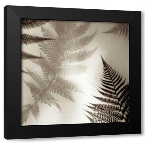 Florison - 65 Black Modern Wood Framed Art Print by Blaustein, Alan
