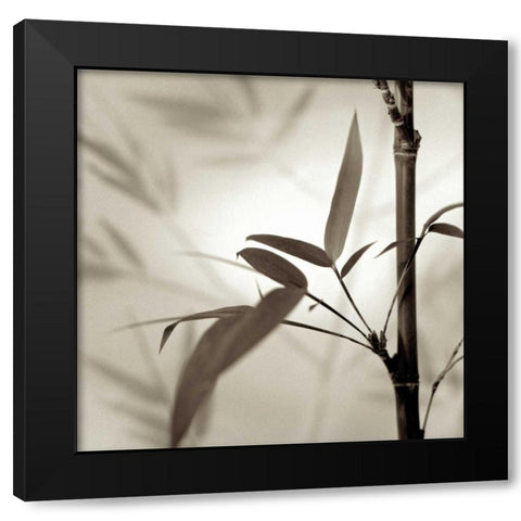 Florison - 64 Black Modern Wood Framed Art Print by Blaustein, Alan