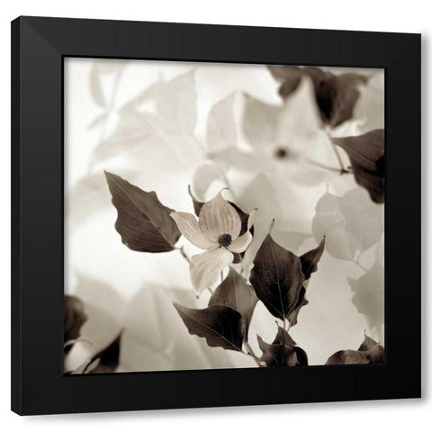 Florison - 54 Black Modern Wood Framed Art Print by Blaustein, Alan