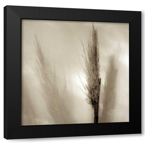 Florison - 53 Black Modern Wood Framed Art Print by Blaustein, Alan