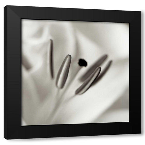 Florison - 52 Black Modern Wood Framed Art Print with Double Matting by Blaustein, Alan