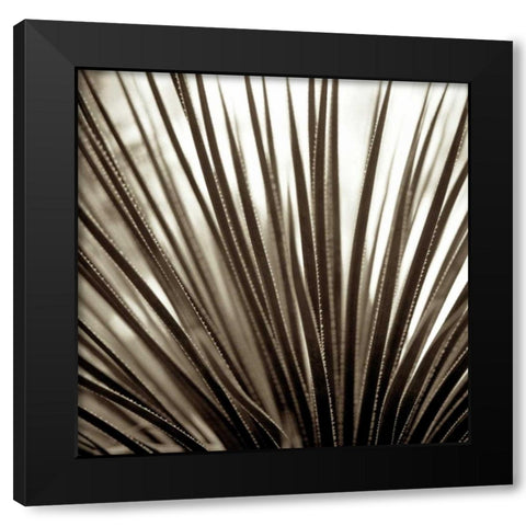 Florison - 48 Black Modern Wood Framed Art Print by Blaustein, Alan