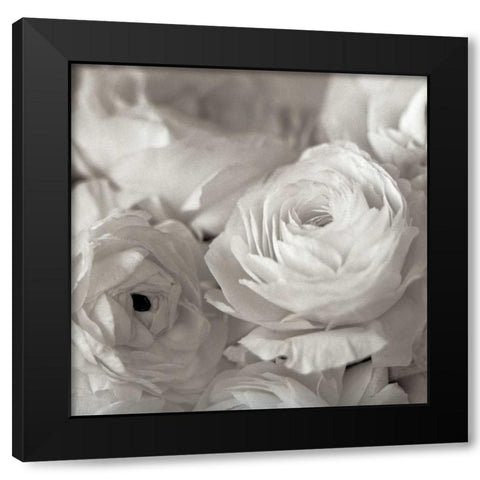 Florison - 47 Black Modern Wood Framed Art Print by Blaustein, Alan