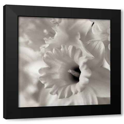 Florison - 45 Black Modern Wood Framed Art Print with Double Matting by Blaustein, Alan