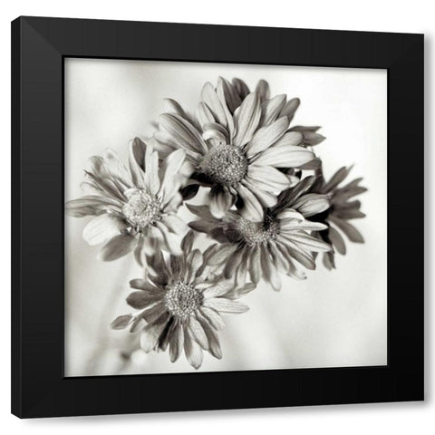 Florison - 40 Black Modern Wood Framed Art Print by Blaustein, Alan