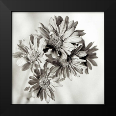 Florison - 40 Black Modern Wood Framed Art Print by Blaustein, Alan