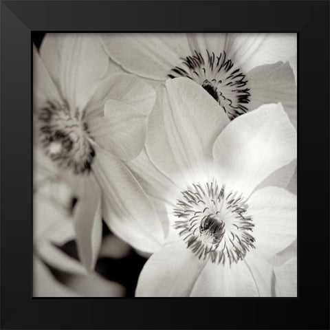 Florison - 31 Black Modern Wood Framed Art Print by Blaustein, Alan