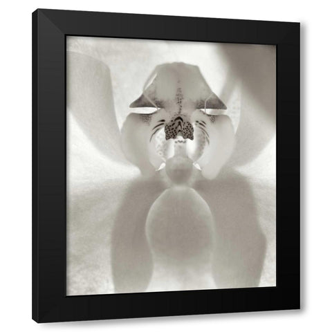 Florison - 26 Black Modern Wood Framed Art Print by Blaustein, Alan