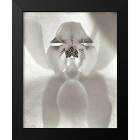 Florison - 26 Black Modern Wood Framed Art Print by Blaustein, Alan