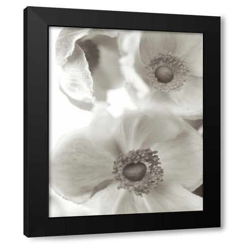 Florison - 20 Black Modern Wood Framed Art Print with Double Matting by Blaustein, Alan