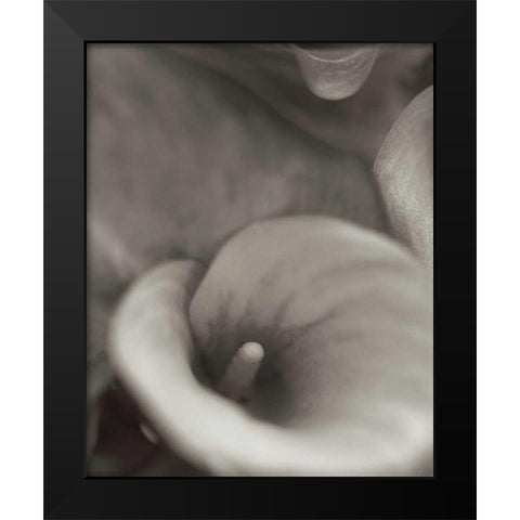 Florison - 19 Black Modern Wood Framed Art Print by Blaustein, Alan