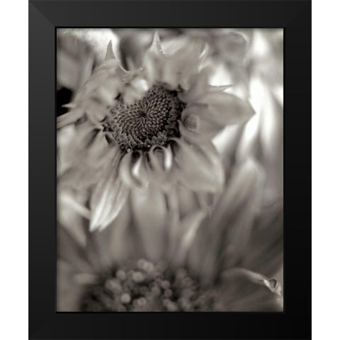 Florison - 15 Black Modern Wood Framed Art Print by Blaustein, Alan