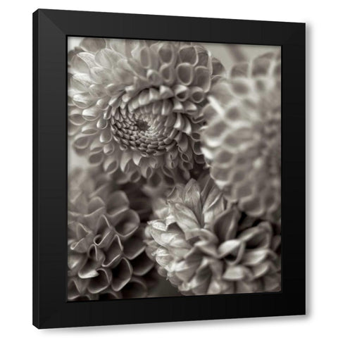 Florison - 13 Black Modern Wood Framed Art Print with Double Matting by Blaustein, Alan