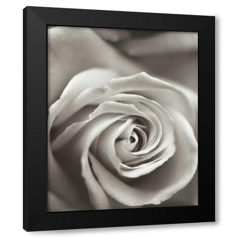 Florison - 12 Black Modern Wood Framed Art Print with Double Matting by Blaustein, Alan
