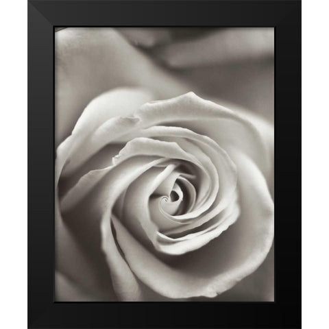 Florison - 12 Black Modern Wood Framed Art Print by Blaustein, Alan