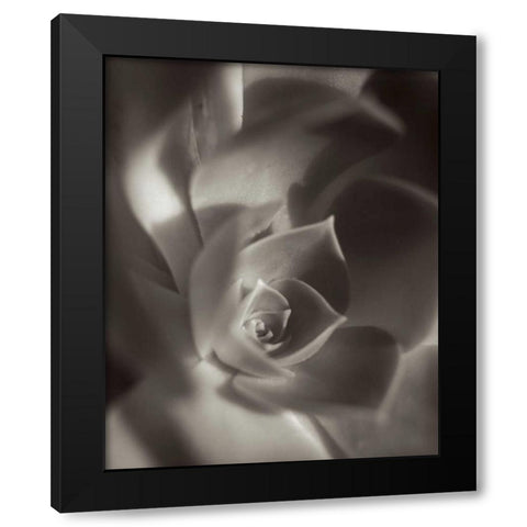 Florison - 11 Black Modern Wood Framed Art Print with Double Matting by Blaustein, Alan