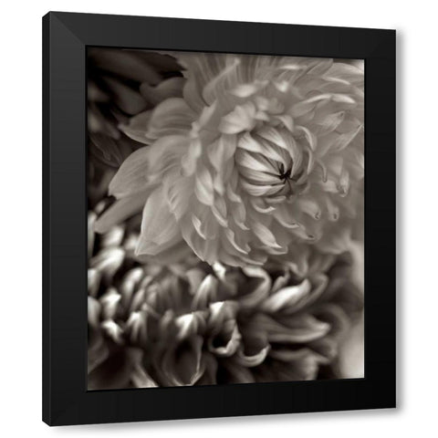 Florison - 10 Black Modern Wood Framed Art Print with Double Matting by Blaustein, Alan